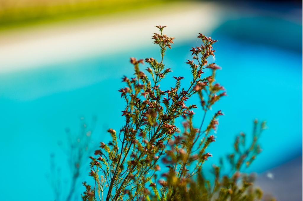 Quinta Do Cerqueiral Villa Arcos de Valdevez Dış mekan fotoğraf